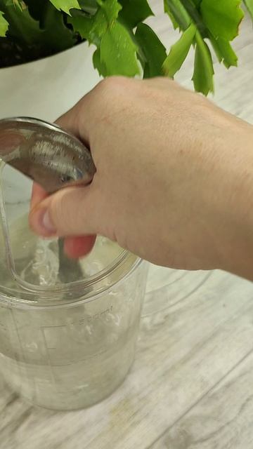 Срочно в октябре делаю так с декабристом и вау эффект обеспечен! #декабрист смотреть онлайн