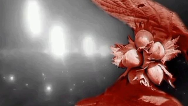 Орешник. смотреть онлайн