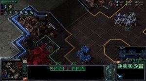 SC2 ТвП против Hofi