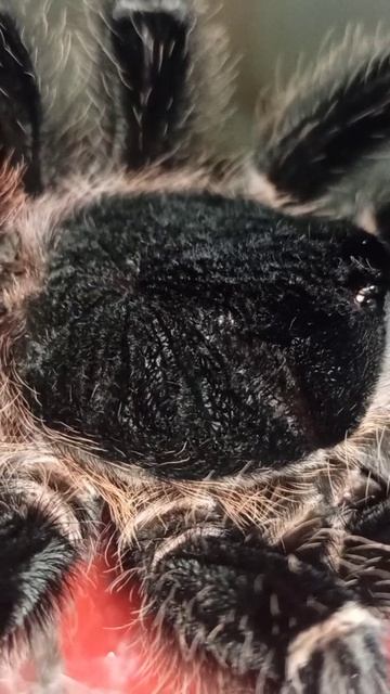 Машенька наконец-то покушала! 17 октября 2025 г. смотреть онлайн