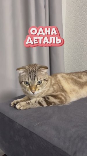 Стало намного уютнее 😻