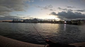 ОСЕННИЙ СУДАЧОК💥 #спиннинг