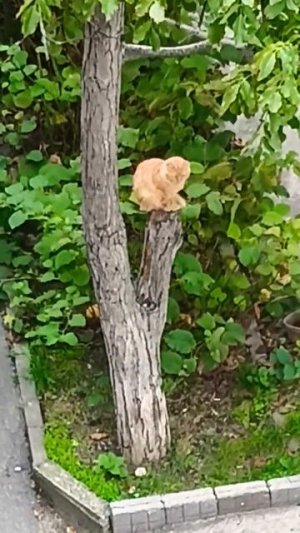 хозяйкам на заметку