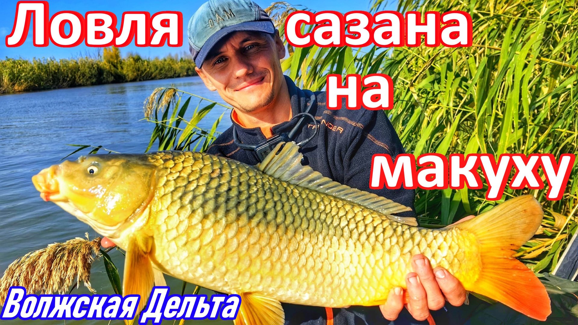 ЛОВЛЯ ТРОФЕЙНОГО САЗАНА В АСТРАХАНИ НА МАКУХУ/ВОЛЖСКАЯ ДЕЛЬТА/РУССКАЯ РЫБАЛКА/РЕКА ВОЛГА/МАКУШАТНИК смотреть онлайн