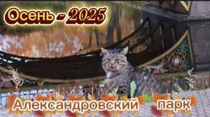 Осень в Александровском парке: от Ламских прудов до Золотых ворот/Мосты в Пушкине/осень в СПб 2025