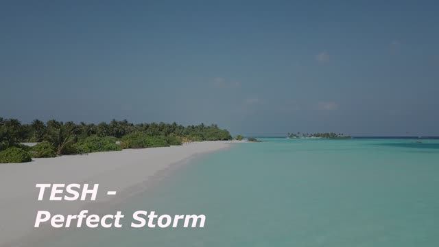 TESH - Perfect Storm