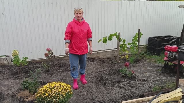 136. Сажаем чеснок. Наши яблоки. Купили цветы