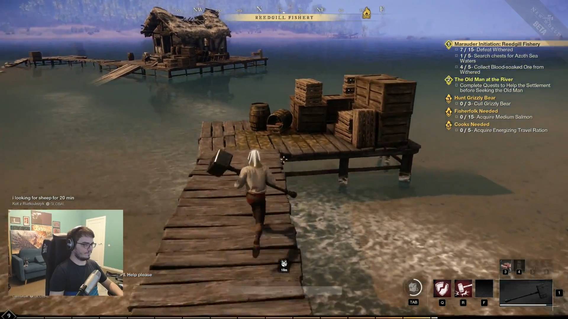 Maddyson - играет в New World #3