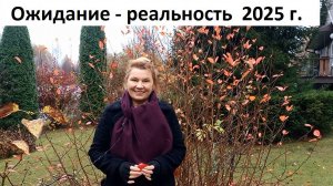 Ожидание - реальность 2025 г.