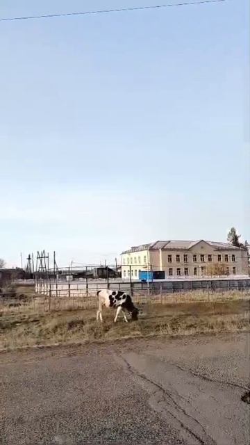 Эх!Вспомню молодость...На прогулку в лес,пешком через деревню...)))))))