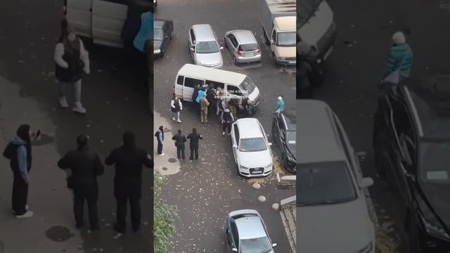 иногда овцы дают отпор свиньям смотреть онлайн