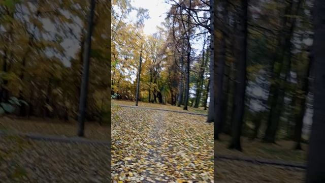 Россия. Тульская область. Осень🍁