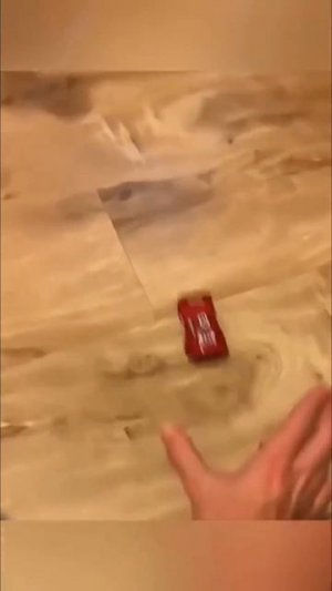 Животный шок🤣