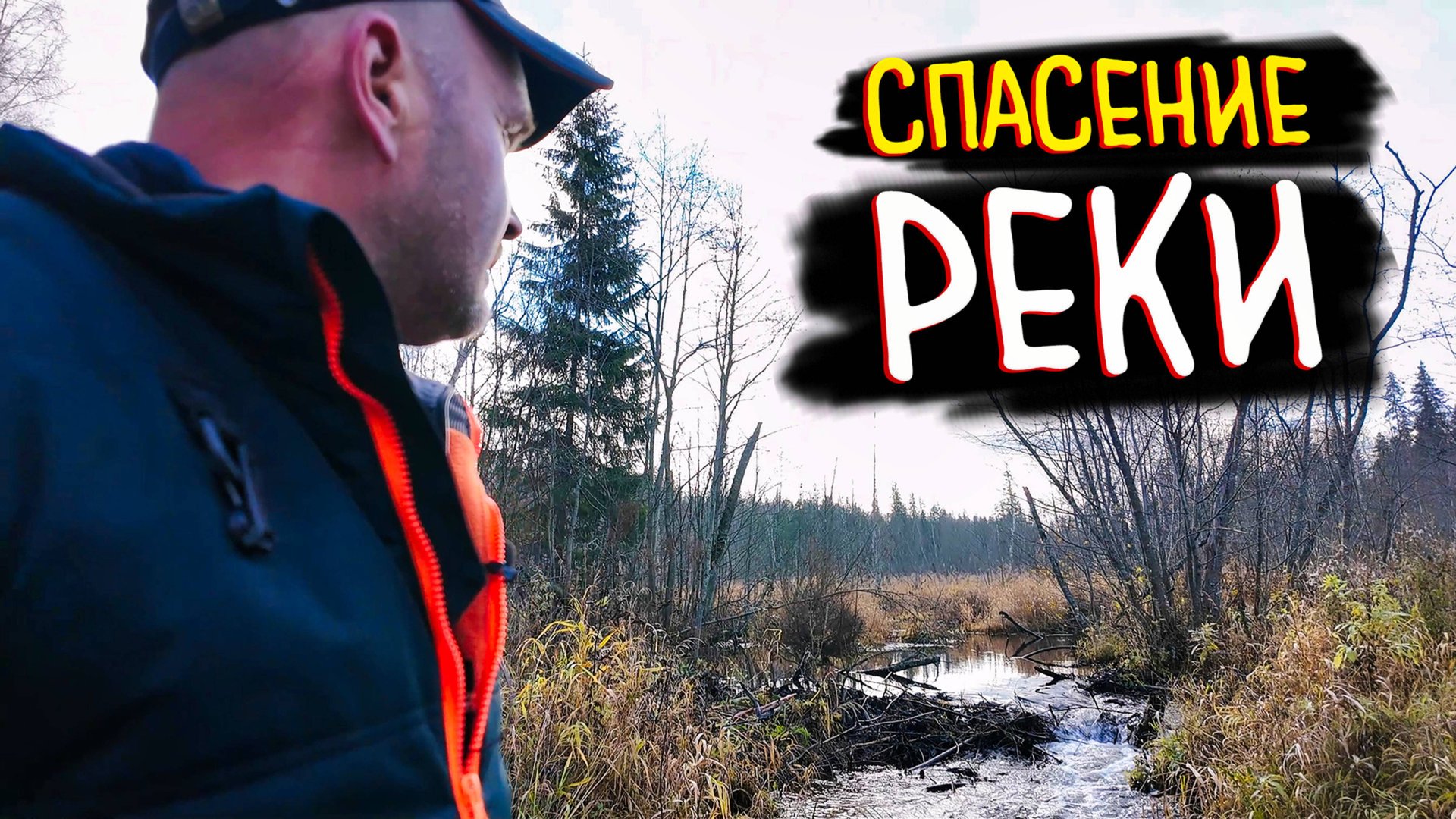 БОБРОВАЯ ПЛОТИНА: Разбор Самой Большой Запруды в Лесу | Опасная Работа смотреть онлайн
