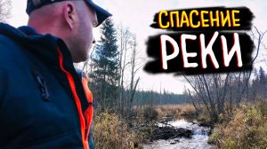 БОБРОВАЯ ПЛОТИНА: Разбор Самой Большой Запруды в Лесу | Опасная Работа