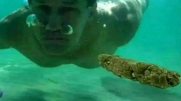 Плавали знаем