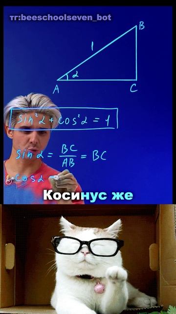 😎 Понимаешь Пифагора — значит, уже знаешь тригонометрию
