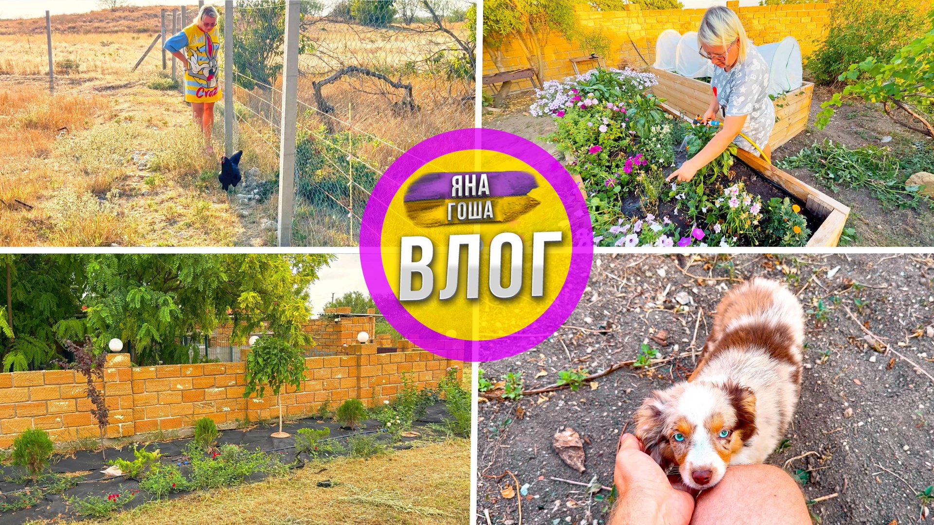 Жизнь в крымском селе... Она такая! смотреть онлайн