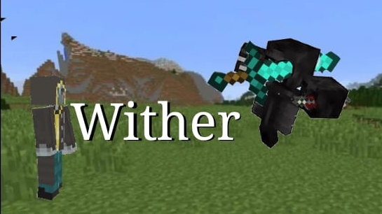 MrMisha vs Wither смотреть онлайн