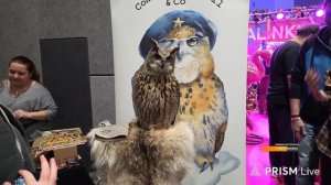 Запись стрима с ютуба от 18.10.25. Рептилиум 2025 день 1