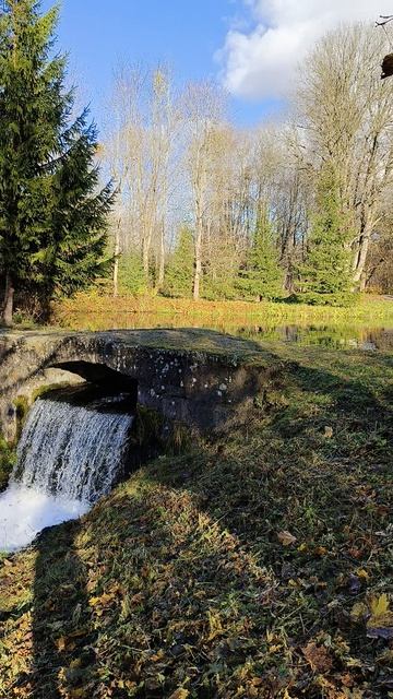 парк в усадьбе Домашово деревня Фалилеево