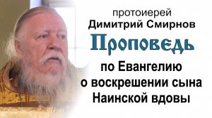 Проповедь по Евангелию о воскрешении сына Наинской вдовы (2014.10.19). Протоиерей Димитрий Смирнов