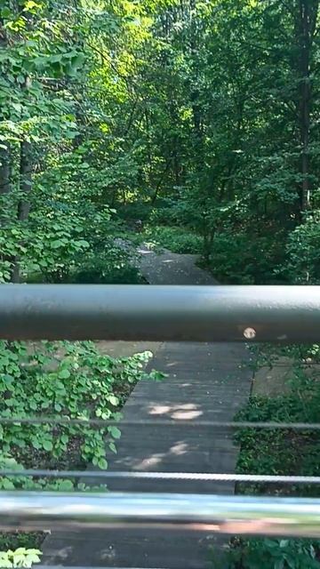 Экотропа на ВДНХ