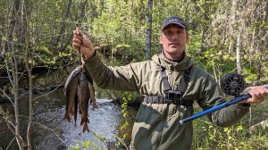 Рыбалка на Хариуса/ Мало кто ловит на эту МУХУ! Подобрал мухи и наловил!