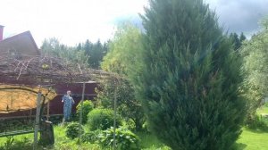 #продам дачу