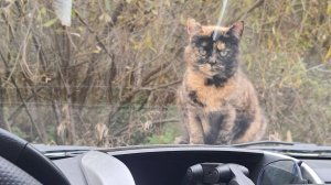 LADA LARGUS CNG 2025 Пробег 3500 км