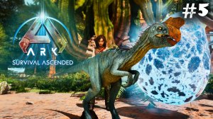 АRK Survival Ascended #5 ☛ Грифон, олень и кража яиц виверн✌