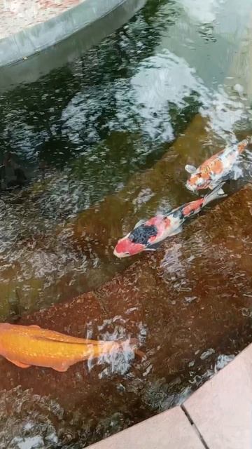 ПРОСТО ВАЙБ😉🫶🍁