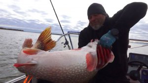 ЛОМАЮТ РУКИ! САМЫЕ БОЛЬШИЕ ЩУКИ и САМАЯ КРУТАЯ РЫБАЛКА В ЖИЗНИ ЕВГЕНИЯ