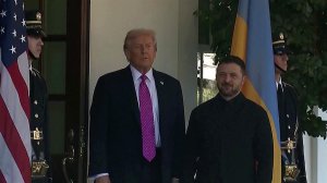 Артишоки вместо "Томагавков": как прошли переговоры Дональда Трампа с Зеленским в Белом доме