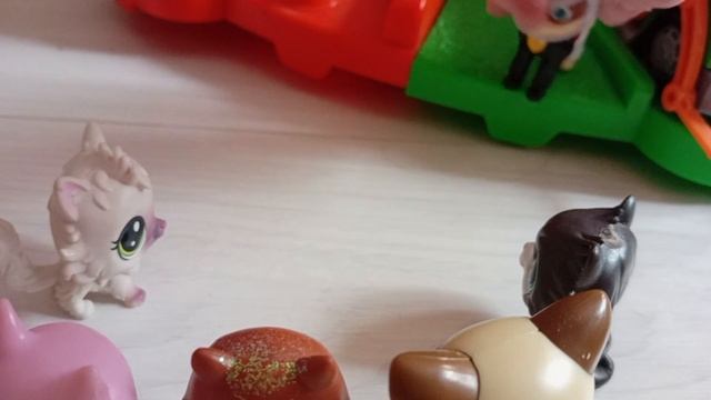 Щенячий патруль 7 серия-"Новый член команды:Дикий Кот" смотреть онлайн