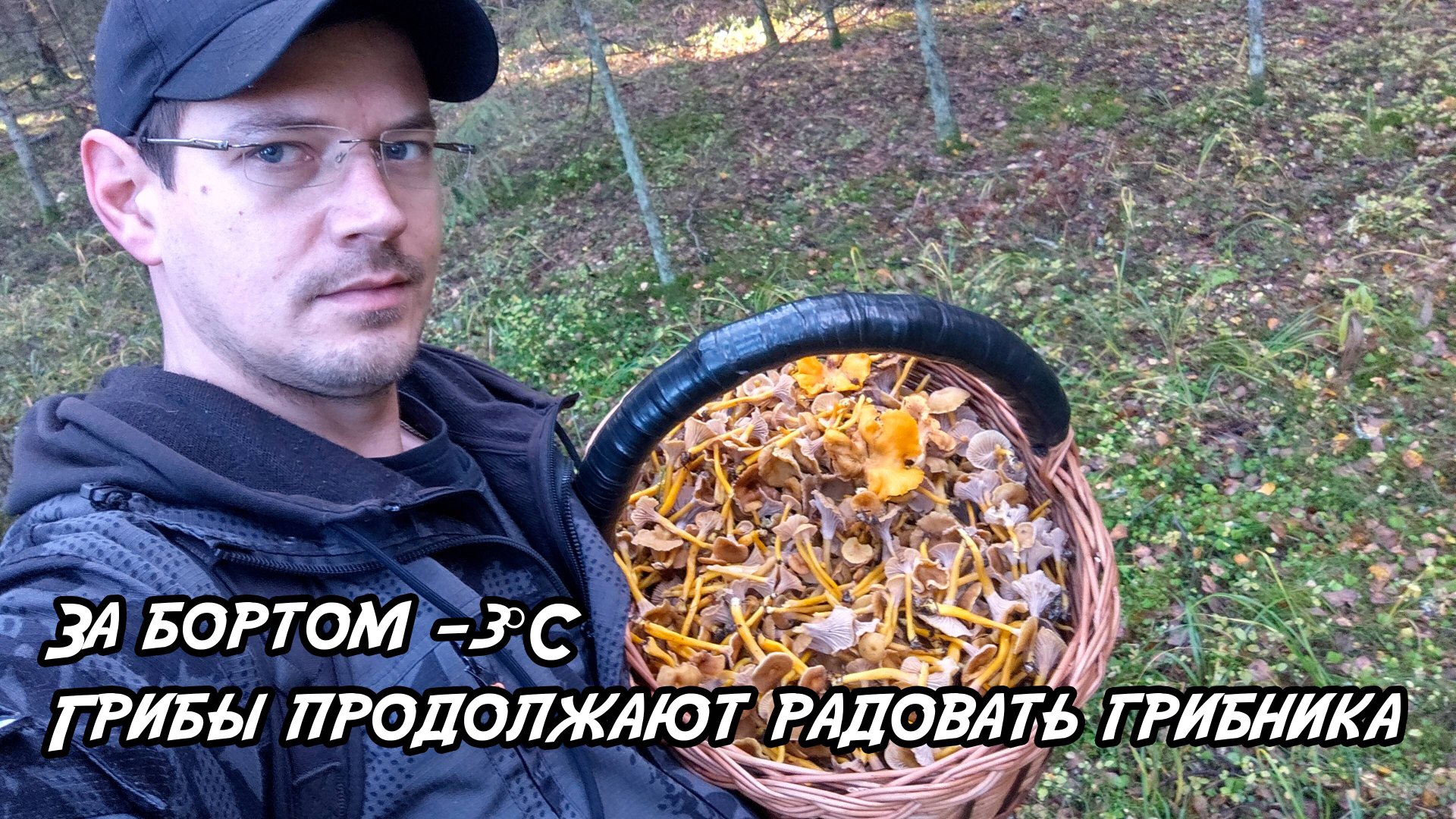 За бортом -3°С Грибы продолжают радовать грибника Трубчатая лисичка - деликатес наших лесов 18.10.25 смотреть онлайн