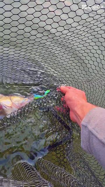 Как же приятно ловить судака, а после отпустить его обратно в родную среду обитания. смотреть онлайн