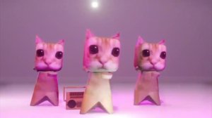 котик танцует