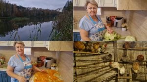 ВЕЧЕРОЧКОМ ПРОГУЛЯЛИСЬ К БЕРЕГУ,А С УТРА ЗАКВАСИЛА КАПУСТУ.