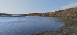 Рыбалка где ловить Сазана.Станица Калитвенская, Каменский район, Ростовская область.