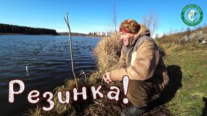 ЗАПУСТИЛ РЕЗИНКИ В ПРУД У ДОМА! РЫБАЛКА В ОКТЯБРЕ НА ЩУКУ И ОКУНЯ НА ЖИВЦА НА ДЕДОВСКИЕ РЕЗИНКИ!