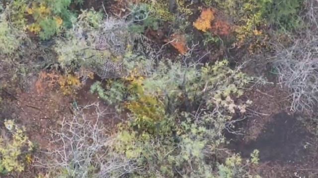 Операторы Центра 'Рубикон' бьют по целям Всу на Донбассе 💥🇷🇺👊 смотреть онлайн