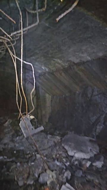 Карелия. Медвежьегорск. Гора Лысуха. Karelia. Medvezhyegorsk. Mount Lysukha смотреть онлайн