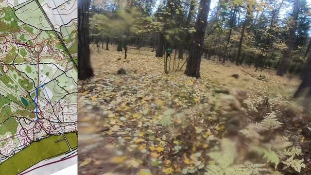 Лонг, Масстарт Чемпионат Республики (Headcam Orienteering №99)