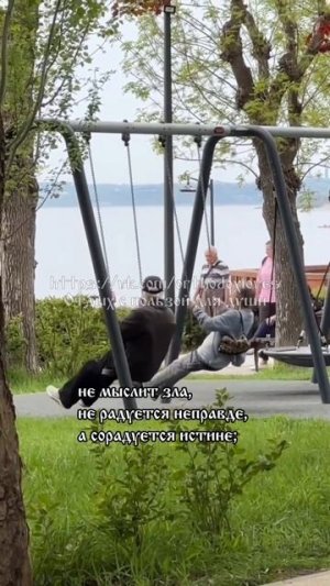 Проявления любви. Послания Апостола Павла