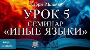Урок 5. Семинар "Иные языки". Виды языков