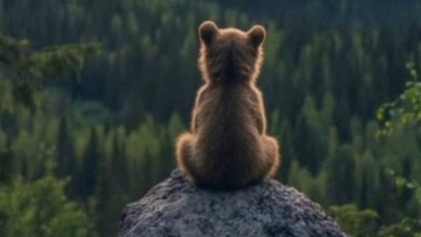 Берег любви The Zav's