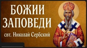БОЖИИ ЗАПОВЕДИ _ свт. Николай Сербский