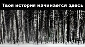 что такое звёздныйэкспресс? история о чемпионе пепла