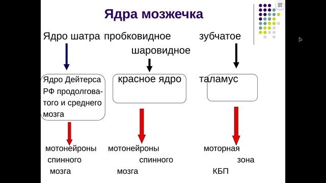 ЧНС3 смотреть онлайн